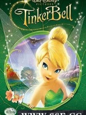 学科知识总结